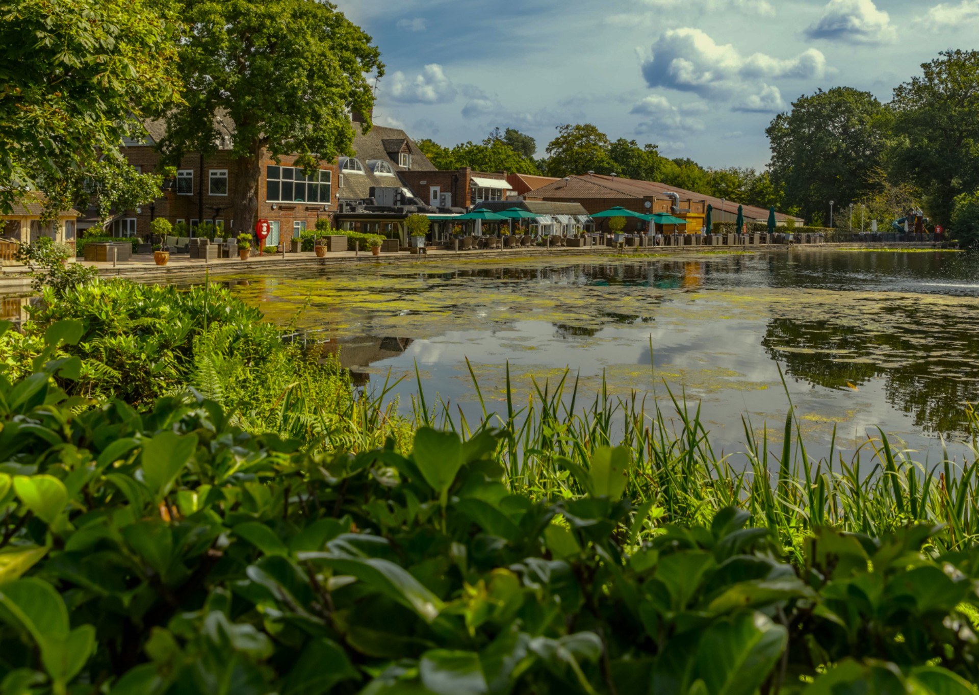 BBQ and lakeside dining at St. George's Hill Lawn Tennis Club