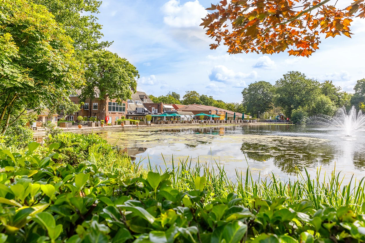 Lakeside dining